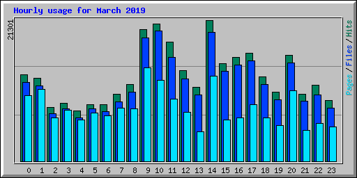 Hourly usage for March 2019