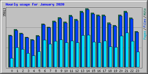 Hourly usage for January 2020