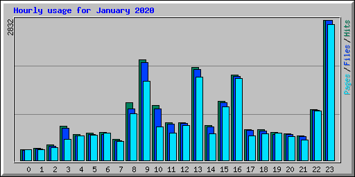 Hourly usage for January 2020