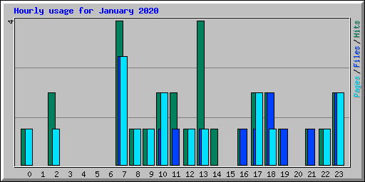 Hourly usage for January 2020